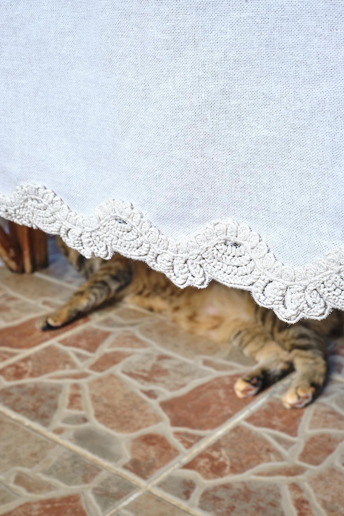 Nappe blanche à bordure en dentelle, pattes de chat visibles sur un sol en pierre